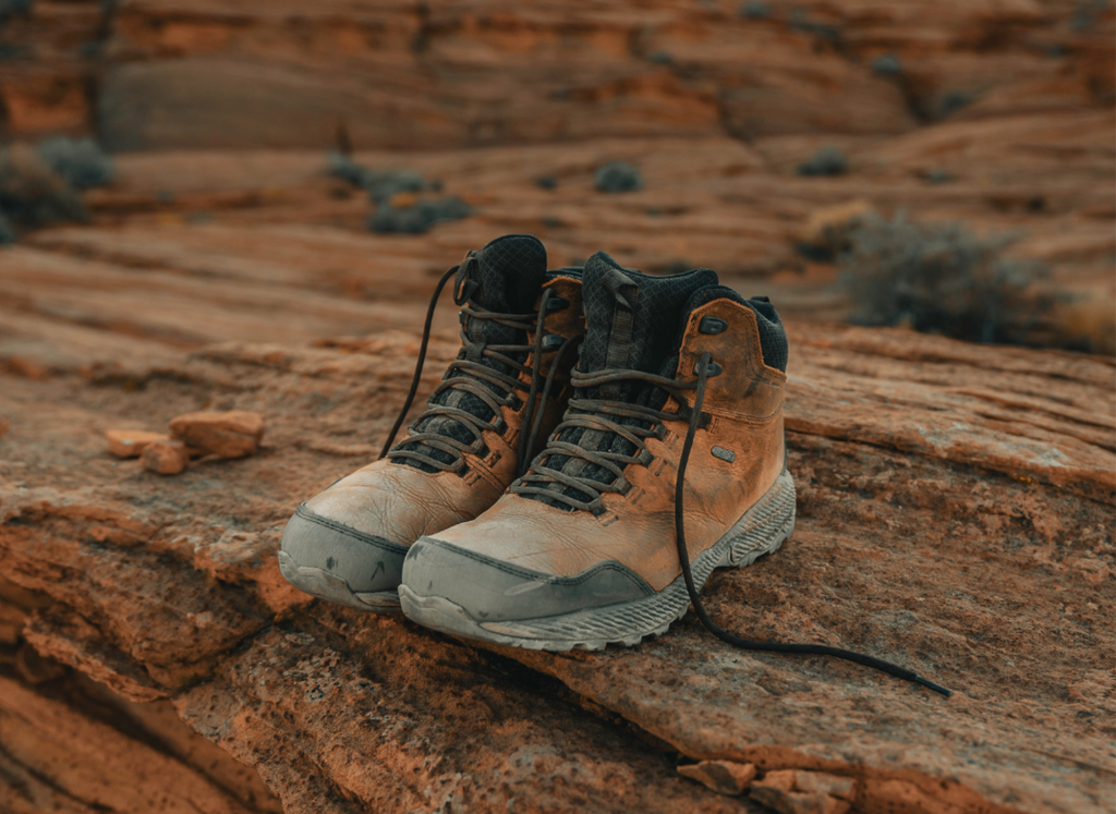 Merrell women's forestbound 2025 mid wp hiking boots