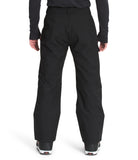 The North Face Mens Seymore Pant
