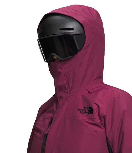 The North Face Wmns Freedom Insulated Jacket
