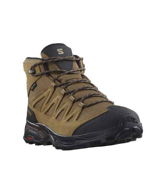 Salomon Mens X Ward Leather Mid GTX