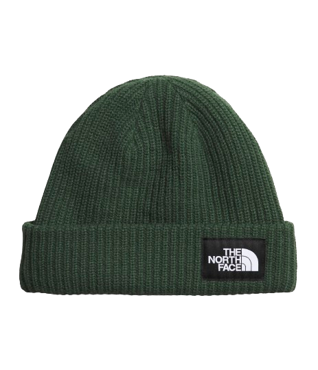 The North Face Salty Dog Beanie Pine Needles
