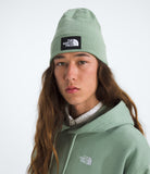 The North Face Dock Worker Recycled Beanie Slate Moss