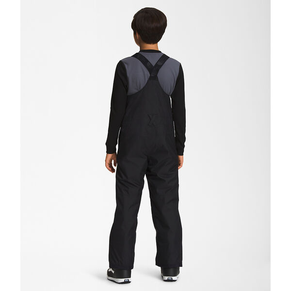 The North Face Teen Freedom Insulated Bib Pant