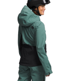 The North Face Wmns Freedom Stretch Jacket