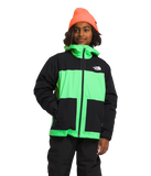 The North Face Boys Freedom Triclimate Jkt
