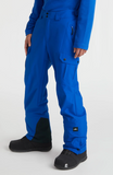 Oneill Mens Cargo Pant Surf the Web Blue