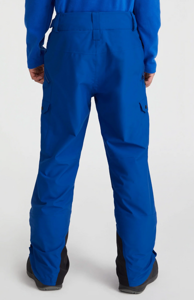 Oneill Mens Cargo Pant Surf the Web Blue