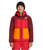 The North Face Boys Freedom Triclimate Jacket