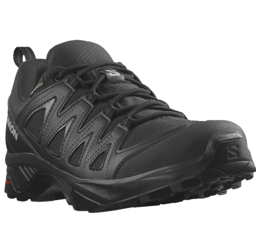 Salomon Mens X Braze GTX