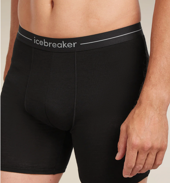Icebreaker Anatomica Long Boxers