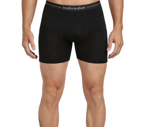 Icebreaker Anatomica Long Boxers