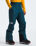 The North Face Mens Dawnstrike Goretex Pant