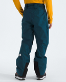 The North Face Mens Dawnstrike Goretex Pant