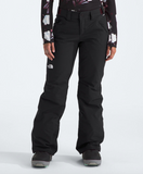 The North Face Wmns Freedom Insulated Pant