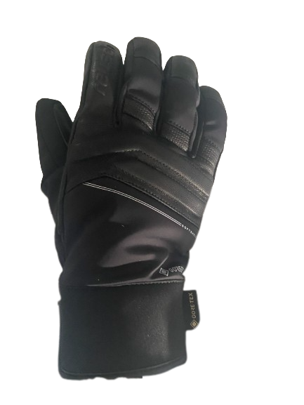 Reusch Jupiter Goretex Glove