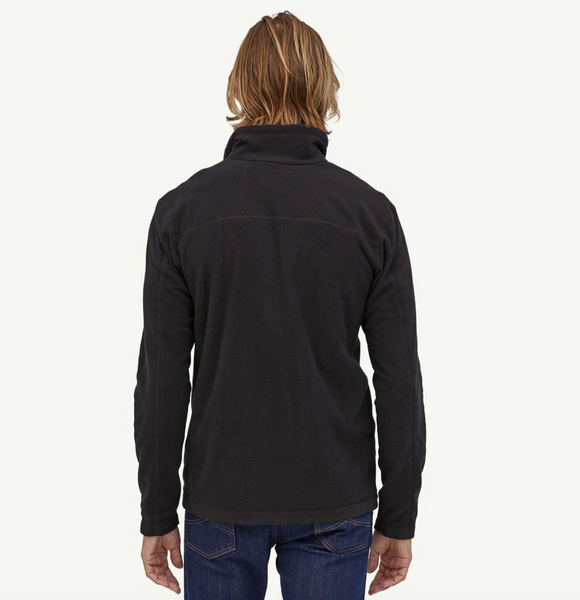 Patagonia Mens Micro D Pullover