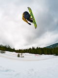 Signal Park Pro