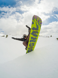 Signal Park Pro