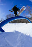 Rome Rene Snowboard