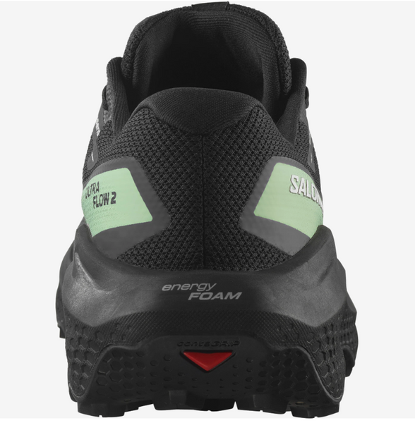 Salomon Ultra Flow 2 GTX Black / Patina Green