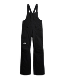The North Face Wmns Freedom Insulated Bib Pant