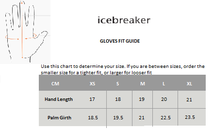 Icebreaker Adult Quantum Gloves