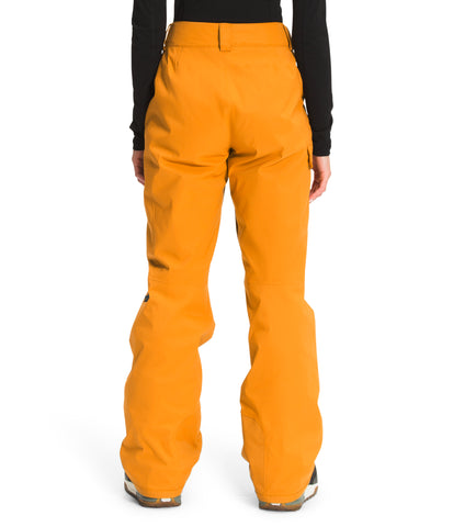The North Face Freedom Womens Insulated Pant – Jindabyne Sports