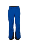 Oneill Mens Cargo Pant Surf the Web Blue