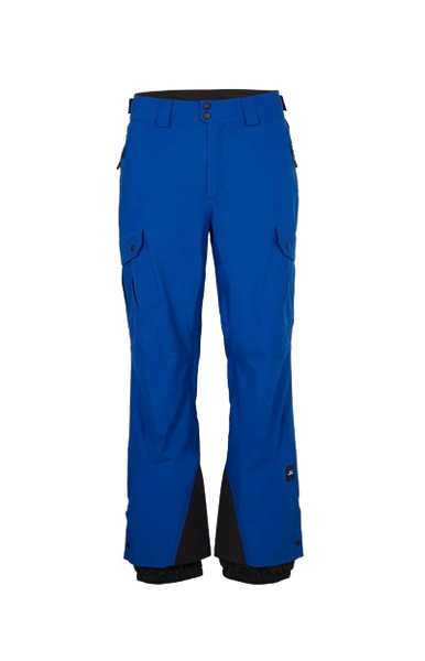 Oneill Mens Cargo Pant Surf the Web Blue