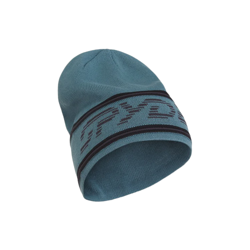 Spyder Retro Logo Hat